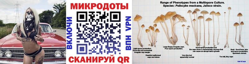 закладки  Майкоп  Псилоцибиновые грибы GOLDEN TEACHER 